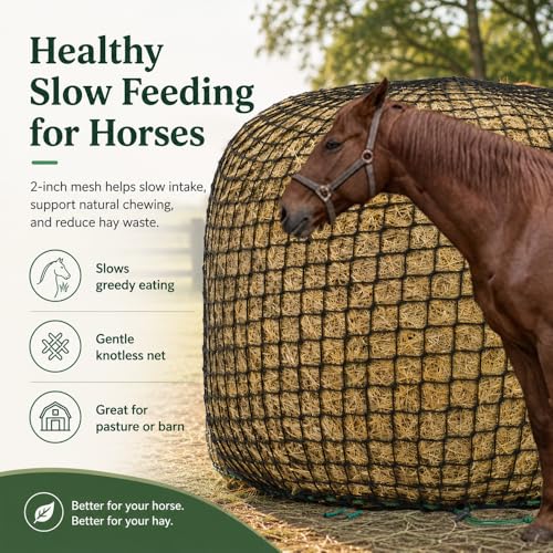 6x6 ft Round Bale Hay Net for Horses & Livestock - Slow Feeder Hay Net with 2 inch Mesh, Knotless Design, Durable Heavy-Duty (6 * 6 ft)