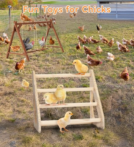 PETSFIT Baby Chick Roosting Bar, Anti-Rotation, Solid Wood, for Brooder | Fits Chicks and Small Birds, Thickened Wooden Perch, Safe for Brooder and Coop, Easy to Assemble and Clean, Non-Toxic Wood