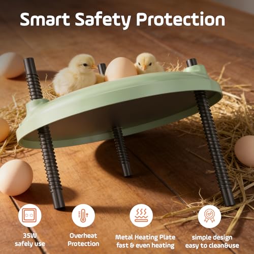 Brooder Plate for Chicks,12inch Metal Heating Plate,Perfectly Adjustable Height & Angle, 35W Chick Warmer for Brooding Newborn Chicken Duckling Quail,Chicken Coop Heater, Warming Puppy Cats