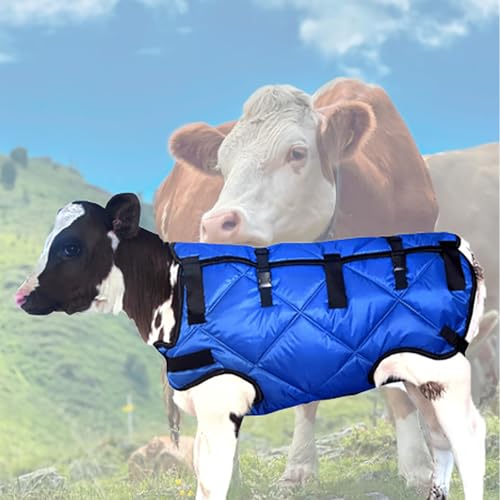 Calf Blanket Warm Clothes Goat Blankets for Winter Keep Calves, Goats, Dogs, Foal, Donkey Warming Thickened Belly Protection Windproof Large Size Blue