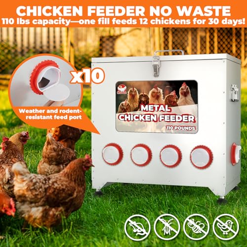 Sidasu Automatic Chicken Feeder 110 LB, 10-Port Metal Poultry Feeder | Rainproof Locking Lid, Adjustable Legs, Galvanized Steel, Fits Chickens Ducks Turkeys, Easy to Clean