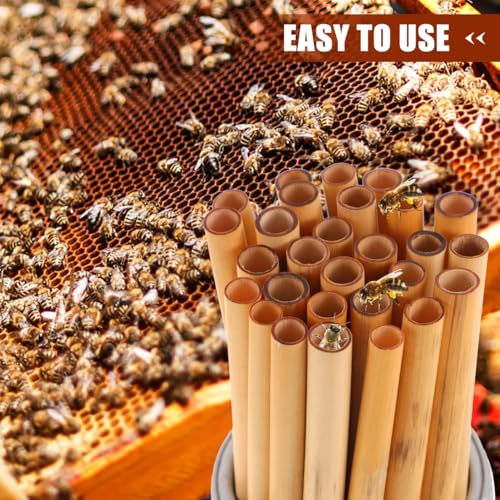 Balacoo Mason Bee Nesting Tubes Refill 200 Pack Reed Inserts | Reed tubes, replacement liners, bee house refill, garden use, solitary bee support, confirm tube size before purchase
