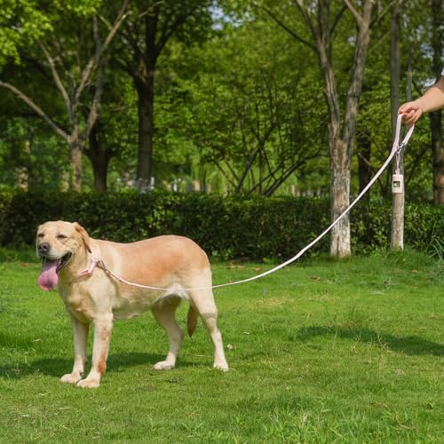 Waterproof Dog Leash with Poop Bag Holder, 5FT/6FT Adjustable Length with 2 Swivel Hooks, Odor-Free & Easy-Clean Dog Lead for Large Medium Small Dogs - color: Pink, size: 5FT - 3/5inch Width