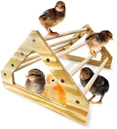Chick Perch Strong Wooden Jungle Gym Roosting Bar Made in USA!!! Chicken Toys for Coop and Brooder for Baby Chicks El Pollitos La Pollita Pollos Gallinas Polluelos