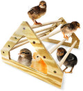 Chick Perch Strong Wooden Jungle Gym Roosting Bar Made in USA!!! Chicken Toys for Coop and Brooder for Baby Chicks El Pollitos La Pollita Pollos Gallinas Polluelos
