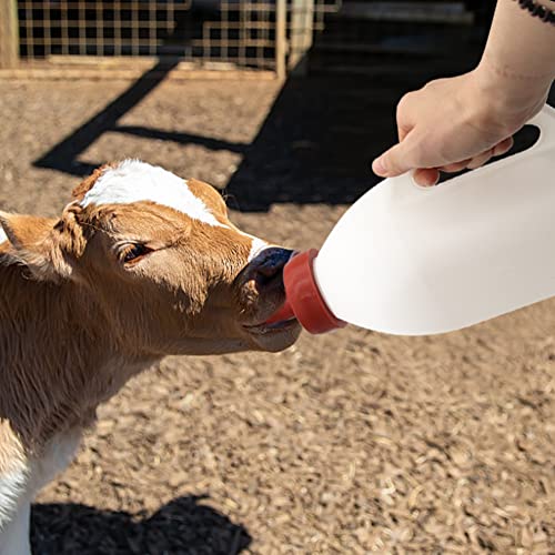 Calf Bottle with a Replacement Nipple 2.11 Quart Milk Feeder Nursing Feeding Bottle