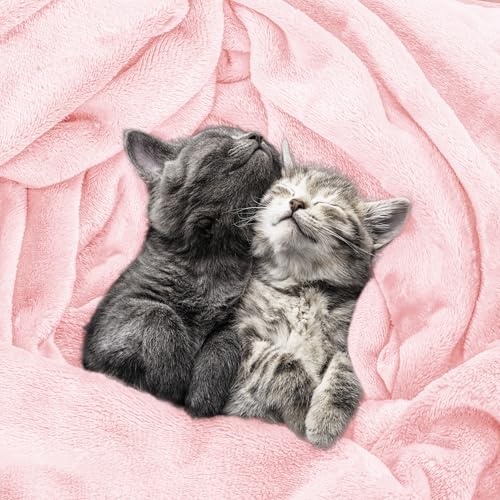 Utopia Bedding Ultra Soft Fleece Bed Blanket Throw Size Pink (50x60 Inches) | Microfiber Plush Warm Lightweight Breathable Cozy Blanket Anti-Static, All Season Use, Gift for Women and Men - color: Pink, size: Throw (50x60 Inch)