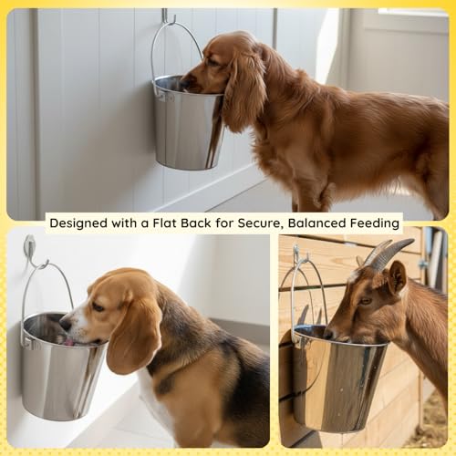 6 Quart Stainless Steel Flat Side Bucket – 1.5 Gallon Heavy Duty Hanging Dog Water Buckets for Kennels & Cages – Flat Back Food & Water Feeding Pail for Livestock, Goats, Sheep & Horses - size: 6 Quarts