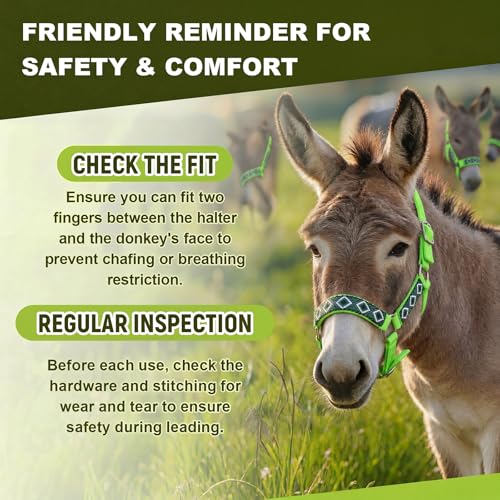 1 Set Mini Donkey Halter with Lead Rope Adjust, Bright Green | Nylon Head Collar, Cute and Stylish, for Miniature Donkey and Small Equines, Farm Ranch Pasture Outdoor, Gingham Plaid Trim - color: Bright Green