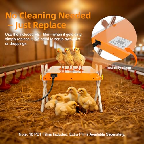 Chick Brooder Heating Plate - Briidea 80W Chicken Heater with Adjustable Temperature, 10 PET Cleaning Film, Adjustable Height & Angle, Warmth Like Mother Hen for 15 Small Poultry 10" x 10" - color: Adjustable Temperature 80–160°F