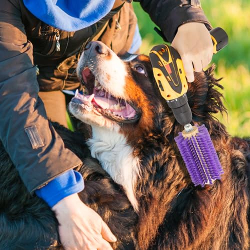 Willinglong 2 Pcs 5.35 inches Livestock Mini Drill Scratch Brush Purple Brush Grooming Kit Suitable for Cattle, Cows, Horses, Sheep and Pigs - size: 5.35 Inch