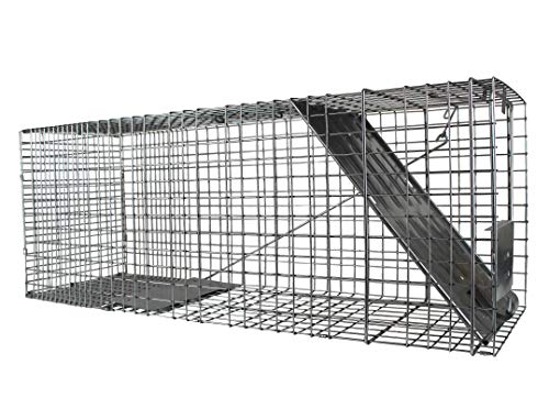 Havahart Large 1-Door Live Animal Trap for Raccoons, Cats, Bobcats, Beavers | Heavy Duty Humane Catch and Release Cage Trap for Outdoor Pest Control, 1079SR