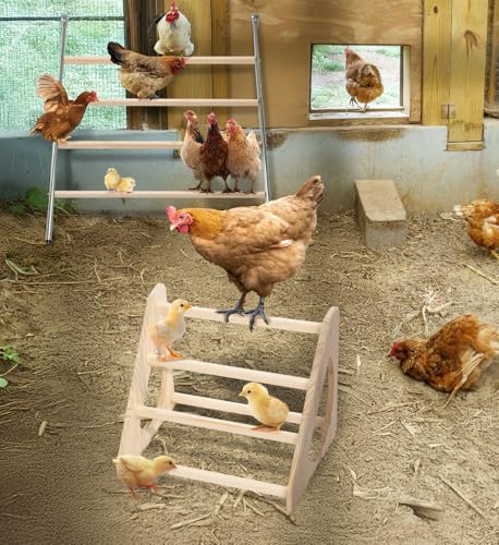 PETSFIT Baby Chick Roosting Bar, Anti-Rotation, Solid Wood, for Brooder | Fits Chicks and Small Birds, Thickened Wooden Perch, Safe for Brooder and Coop, Easy to Assemble and Clean, Non-Toxic Wood