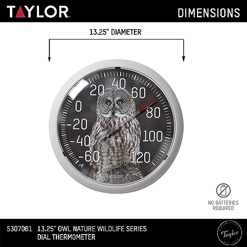 Taylor Nature Series Indoor Outdoor Owl Thermometer, Easy to Read Wall Decor for Patio, Pool, Yard, Garden or Garage, 13.25 Inch, Gray Bezel - style: Owl