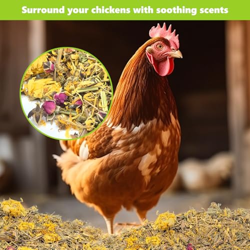 20 Oz Chicken Nesting Herbs Vacuum-Packed (1.25lb) - Natural 7 Dried Herbs for Chicken Coop Freshness, Promote Egg Laying, Hen Treats for Coops - Nesting Box Herbs
