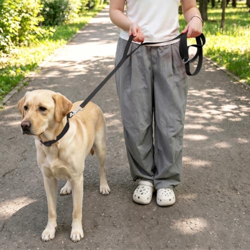 Waterproof Dog Leash with Double Handle, 6 FT Durable Odor-Proof Dog Leashes with Strong Aviation Aluminum Hooks Fits Small Medium or Large Dogs - color: Black, size: 6FT - Double Handle