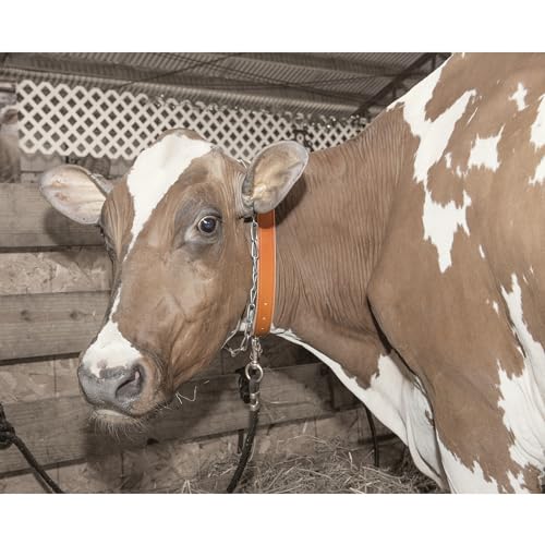 Weaver Livestock LTHR Neck Strap Calf 1X33IN