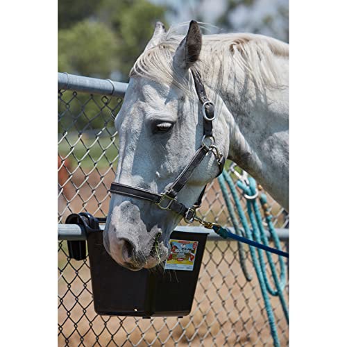 Little Giant® Plastic Hook Over Feeder | Mountable Livestock & Pet Feed Bucket | Horse Feed Bucket | Made in USA | 15 Quarts | Black - color: Black, size: 15 Quart