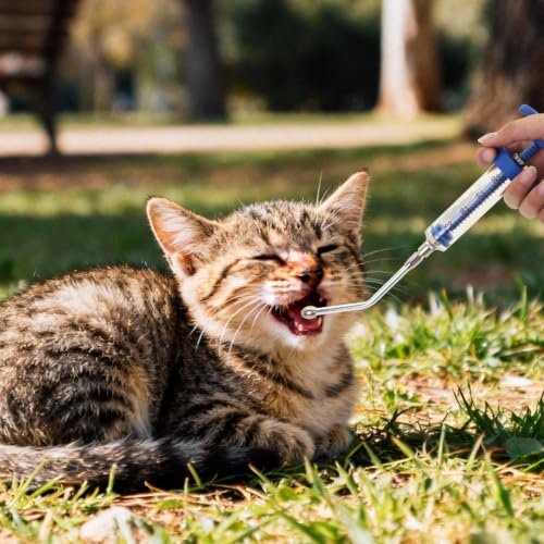 2 Pcs Goat Syringe Reusable Adjustable Goat Drench Syringe with 2 Drench Nozzle and Needles, Feeding Supplies for Cattle, Sheep, Goats, Horse, Pig, Dog (Blue, 20ML) - color: Blue, size: 20ML