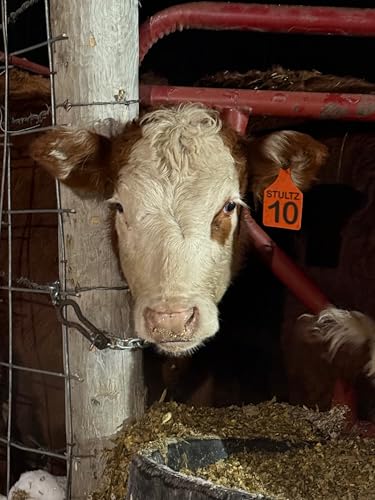 Universal Gate Chain. Perfect for Livestock Pens, Pastures and Corrals. (4)
