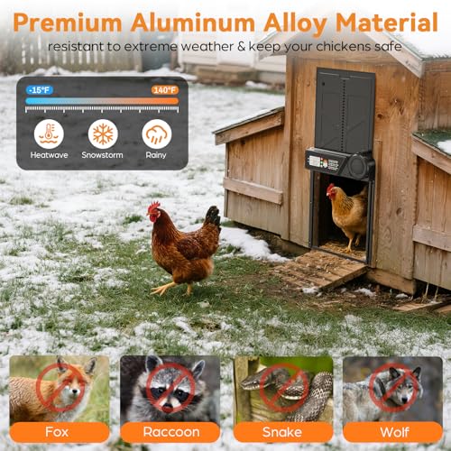 Large Size Automatic Chicken Coop Door Solar Powered, Auto Chicken Door Opener with Timer Modes for Safe and Convenient Chicken Keeping with Intelligent Obstacle Sensors, Remote Control