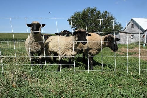 48" x 164' Positive/Negative Sheep and Goat Electric Netting for Dry Soil Conditions