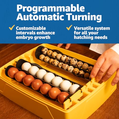 Brinsea Ovation 28 EX Egg Incubator, Automatic Turning & Humidity Control | 50+ years of trusted precision! Built-in automatic humidity, auto-turn & temp alarms take the stress out of hatching 28 eggs - style: Without Book