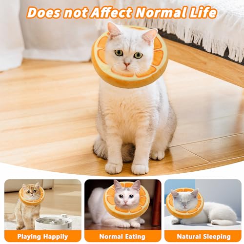 Soft Cat Cone Collar, Cute Cats Recovery Collar Suitable for Cats | Cat cone for Small, Medium, Large cat,Elizabethan Neck Collar for Cats After Surgery (Orange, Medium) - color: Orange, size: Medium
