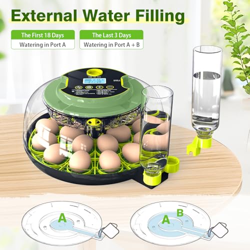 18 Chicken Egg Incubator with Temperature Control Auto Egg Turner | Humidity Display, Egg Candler, 2 Size Egg Trays, Chick Incubaotrs for Hatching Eggs Digital Incubator for Chicken, Duck Eggs - style: 18 Eggs