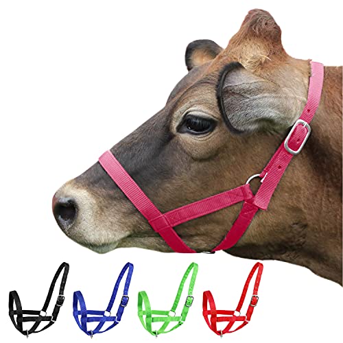 Derby Originals Adjustable Nylon Livestock Cattle Halters - color: Pink, size: Small (250-500lbs)