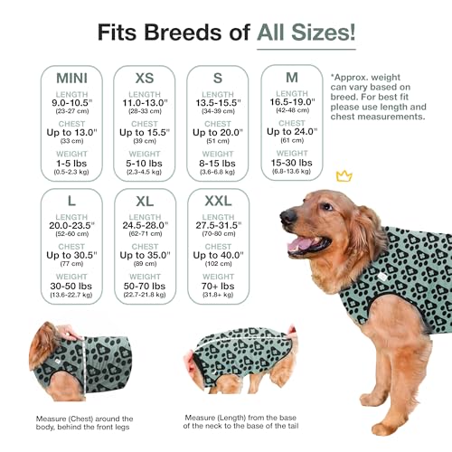 Dog Surgery Recovery Suit, Male Female After Spay Neuter Onesie | Soft Breathable Cotton, Anti-licking Cone Alternative, Protects Stitches & Abdominal Wounds, Patented Clip-up Potty System - color: Harbor Grey, size: Mini