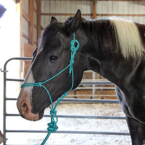 Majestic Ally 1/4" Rope 4 Knot Stiff Polyester Training Halter with 10’ Matching Lead Rope for Horses – Full (Turquoise, Full) - color: Turquoise, size: Full