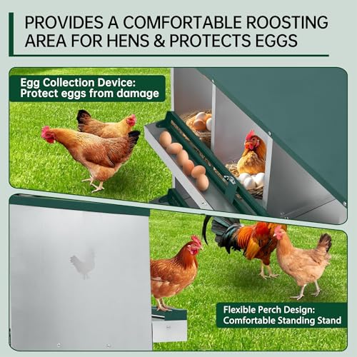 Garvee Chicken Nesting Box, 10 Compartments Nesting Box for Chickens, Galvanized Steel Chicken Laying Box for Easy Egg Collection, Wall Mounting - color: Green | 10 Compartment