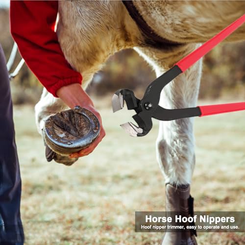 14 Inch Professional Hoof Trimming Kit, 8 Piece Farrier Tools Set with Hoof Nippers, Rasp, Shear Cutter, Hoof Knife, Sharpener, Pick, Gloves, Storage Bag, for Horse Goat Pig Hoof Care - size: 14.5 Inch
