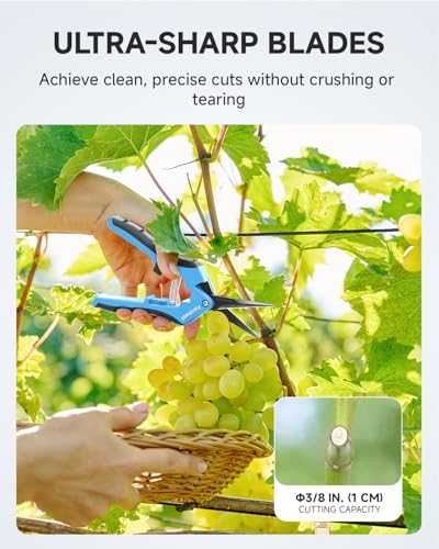 Fondwell 2-Pack 6.5" Precision Garden Scissors Pruning Snips Plant Pruners | Plant Shears Snips, Ultra-Sharp Non-Stick Curved Blades, Comfortable Use, Safety - Best for Precision Cuts in Tight Spaces - color: Black (Curved Blades, 2-pack)
