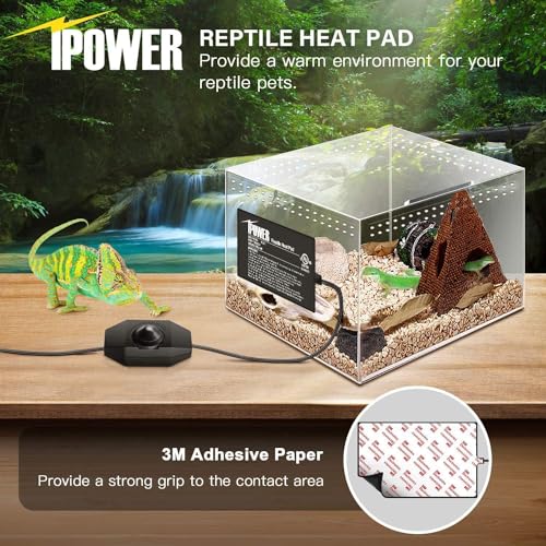 iPower 4 by 7 Inch Reptile Heating Pad with Temperature Adjustable Controller Knob, Under Tank Warmer Terrarium Heat Mat for Reptiles and Amphibians - size: 4 X 7 Inch, style: Heat Pad with Adjust Knob