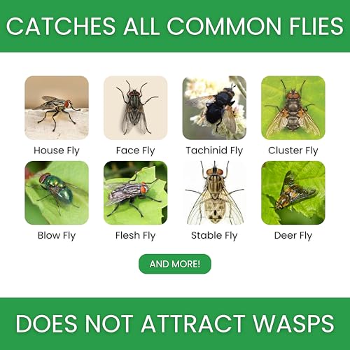 Flybuster - Garden Fly Bait Refill Packs, Natural & Non-Toxic Fly Bait Granules for All Resuable Outdoor Fly Traps (Flybuster Refill Packs, Garden Size) - size: Garden (2-Pack)