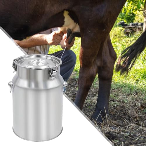 Stainless Steel Milking Machine Bucket with Lid, 10L Milk Can for Cow Sheep Goat Milking Equipment, Farm Milk Storage and Transport - size: 10L