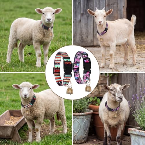 2 Pack Goat Collars with Bells, Sheep Grazing Copper Bells and Adjustable Nylon Collar Set Loud Bronze Bell Small Farm Animal Sheep Cow Accessories (Groovy) - style: Groovy