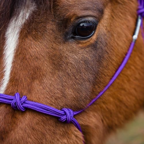 Four Knot Rope Halter and 12 Foot Lead Rope Training Set (Purple, Standard) - color: Purple, size: Standard