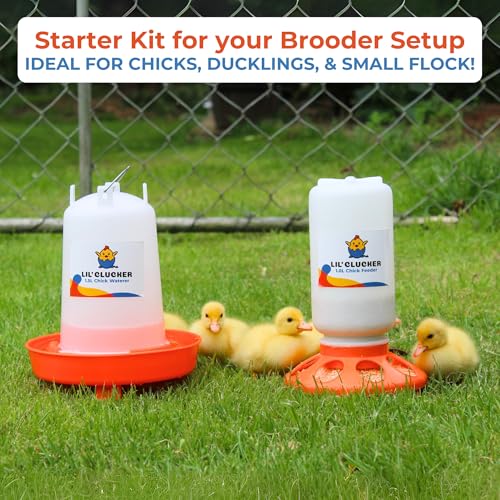 Lil'Clucker 1L Chick Feeder, 1.5L Chicken Waterer - No Leakage Chick Feeder and Waterer Kit, Hanging Baby Chick Waterer, Durable Chicken Water Feeder, Chicken Feeder and Waterer Set, Poultry Waterer - color: Orange