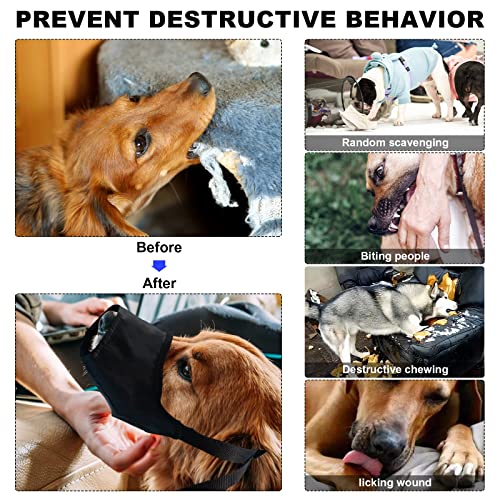 Dog First Aid Kit - Pet First Aid Kit for Dogs Pet Emergency Kit with Pets First Aid Supplies for Home Camping Hiking Traveling