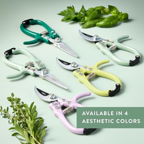 Modern Sprout Pruning Shears - Garden Snips - Herb Scissors - Multi 12-Pack | Lightweight Gardening Tool - Durable Carbon Steel Blade W/Easy-Lock - Gardening Supplies - Flower Cutter - Reusable Holster - color: Multicolor - 12pcs
