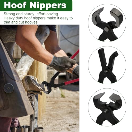12Pcs Farrier Tools Kit, Hoof Trimming Tools with Tool Bag | Hoof Nippers, Horseshoe Cutting Pliers, Goat Hoof Trimmers Shear, Hoof Rasp File, Horseshoe Brush, Hoof Knife, Hoof Hammer