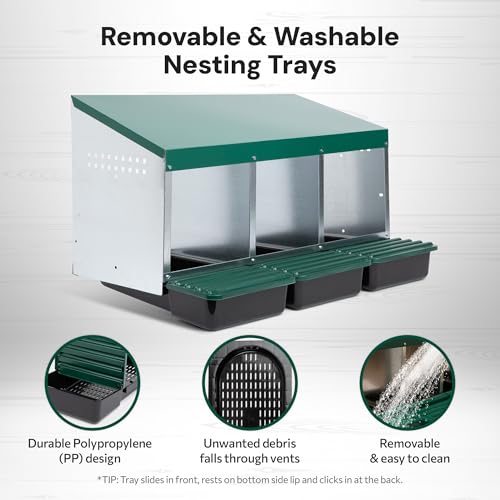 Homestead Essentials Compact Style 3 Compartment, Forward Rollout & Rollaway, Hen & Chicken Nesting Box with Protective Egg Laying Collection Lids