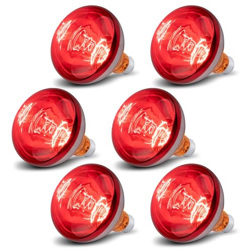 6 Pack 250W Heat Lamp Bulbs for Chicks, R40 Brooder Heat Lamp for Chickens, Infrared Reflector Heating Bulbs, Incandescent Heat for Pet, Bathroom, Food