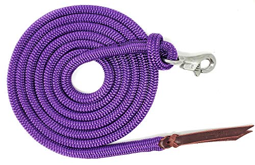 Four Knot Rope Halter and 12 Foot Lead Rope Training Set (Purple, Small) - color: Purple, size: Small