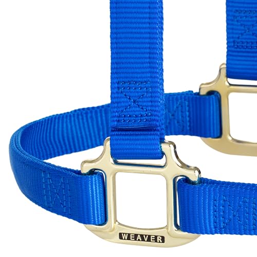 Weaver Leather Original Non-Adjustable Nylon Horse Halter, Small, Blue
