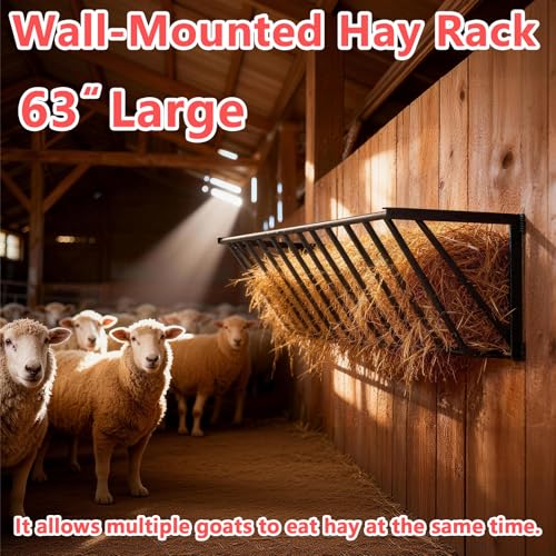 Wall Mounted Hay Feeder & Blanket Holder, 63" 67 Gal Heavy Duty Steel Hay Rack for Horse Stall, Goat Shed, Sheep Barn, Organizer for Feeding and Storage - size: 63 in
