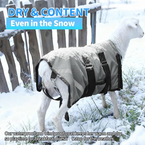 Goat Coat, Winter Livestock Blanket for Goats, Sheep, Calves, Dogs, Mini Pigs & Donkeys with Reflective Strip, Adjustable Farm Animal Coat, 1200D Waterproof 150g 28.68" Back (Gray, Medium) - color: Gray, size: Medium
